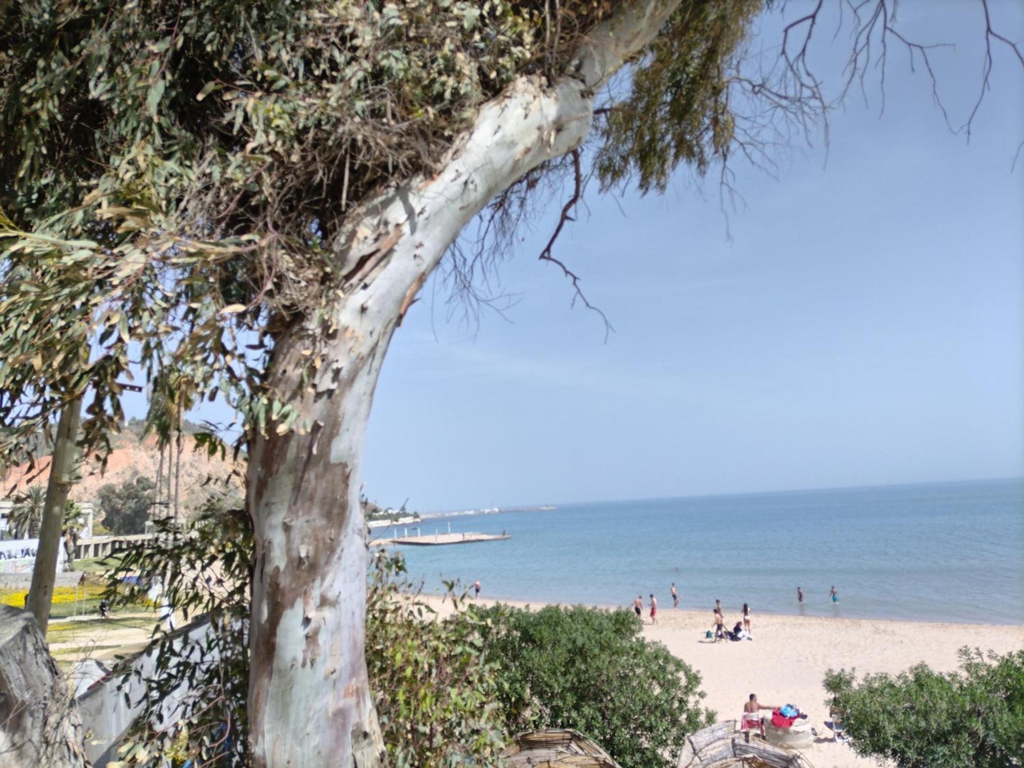 Marsa - Sidi Bousaid Lovely Authentic Apartment المرسى المظهر الخارجي الصورة
